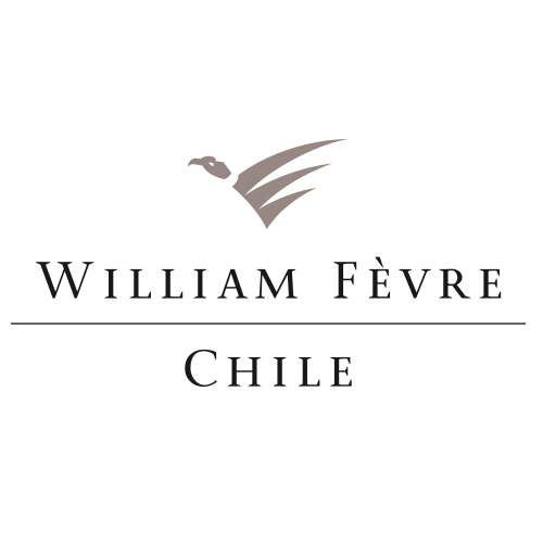 Viña William Fevre Chile se abre paso en el mercado de Tailandia