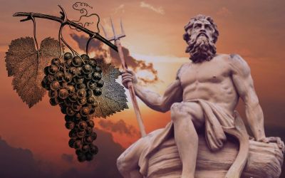 EL Vino Italiano y sus 3.000 años de Historia.