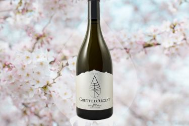 Goutte d’Argent: La magia del Sake en el Vino
