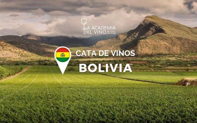Cata de Vinos de Bolivia
