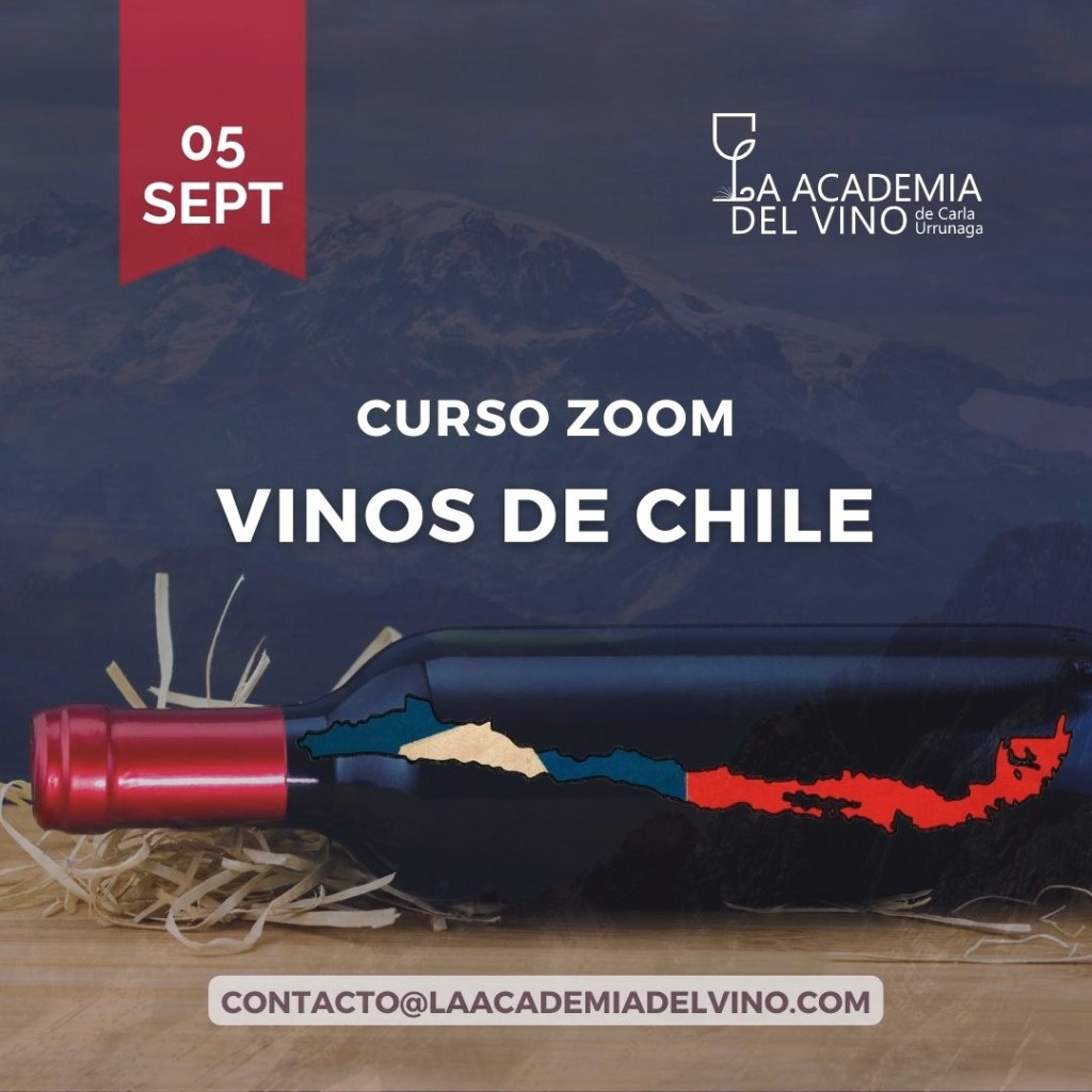 Curso de vinos de Chile zoom