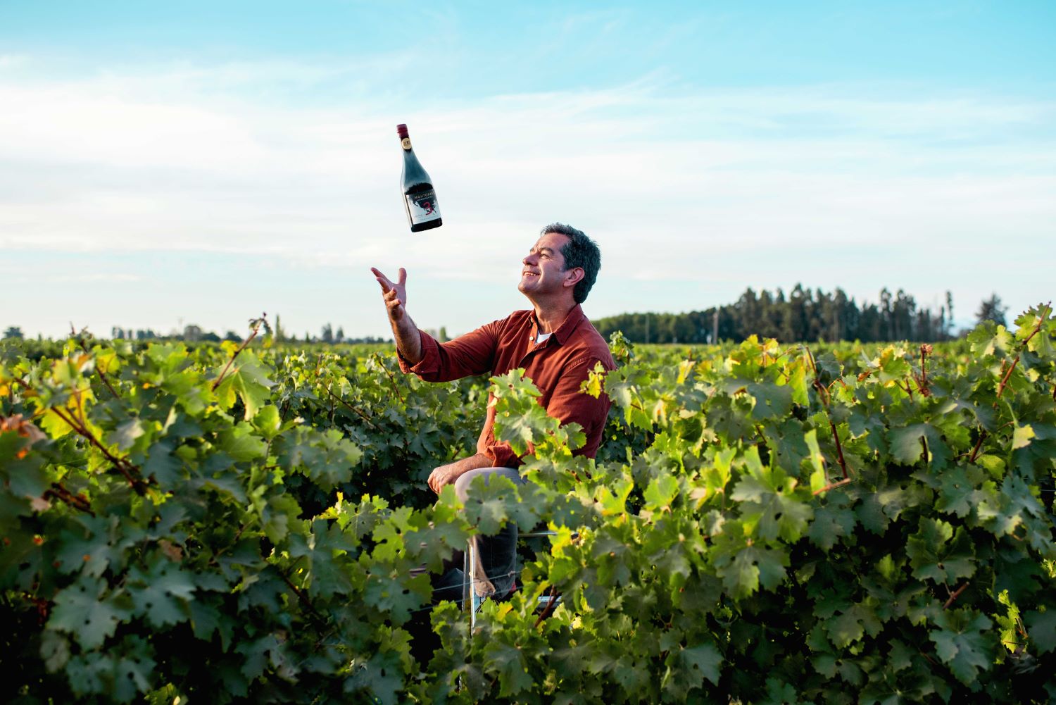 ENOLOGO VIÑA MONTGRAS