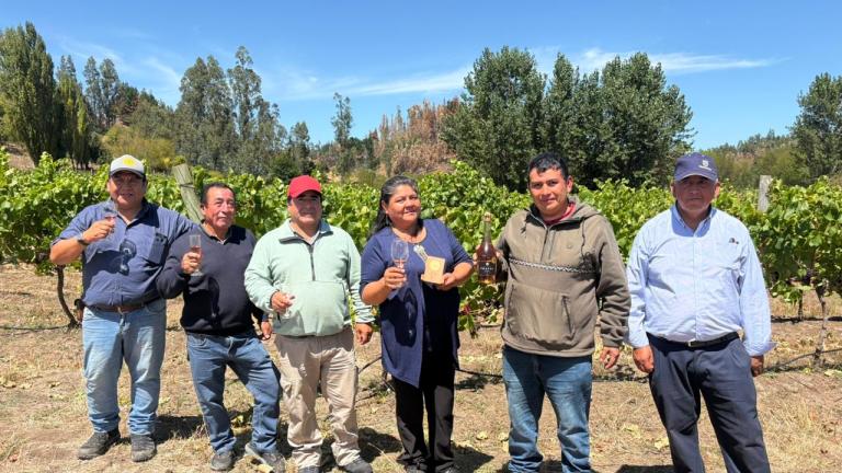 Traful Brut Pinot Noir 2024: un espumante del sur de Chile que vale la pena probar
