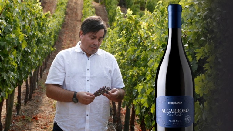 Terranoble lanza Algarrobo Cero Cuatro, un nuevo Pinot Noir que amplía su lectura de Casablanca