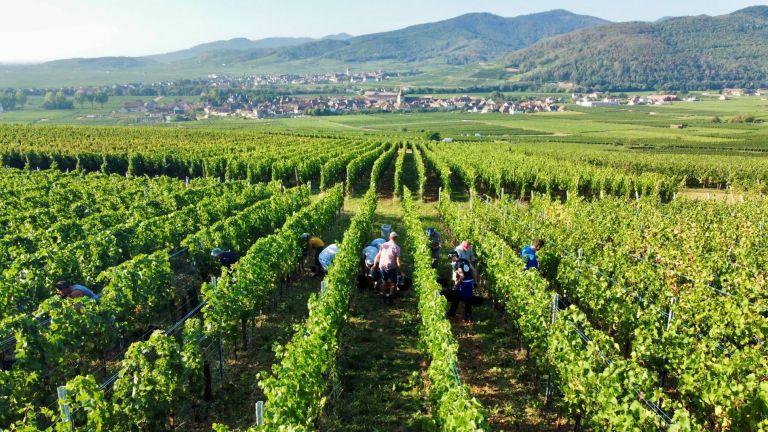 Grand-Cru-Furst-Alber-Mann-©Margot-Reinartz